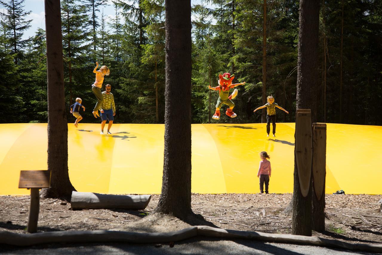 Lipno 50/18